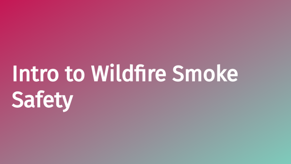 Wildfire Smoke Safety: Introduction