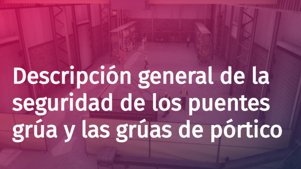 Descripción general de la seguridad de los puentes gr√∫a y las gr√∫as de pórtico