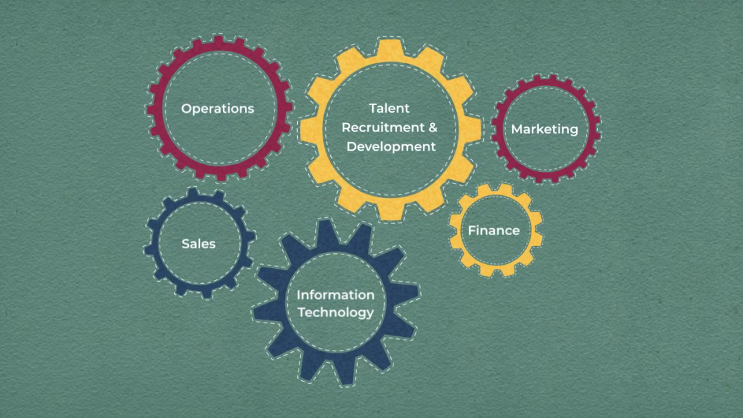 Core Organization Functions: Marketing, Operations, IT, Finance, and Organizational Development