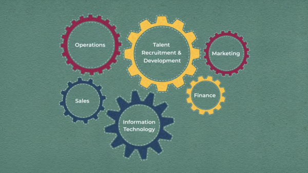 Core Organization Functions: Marketing, Operations, IT, Finance, and Organizational Development