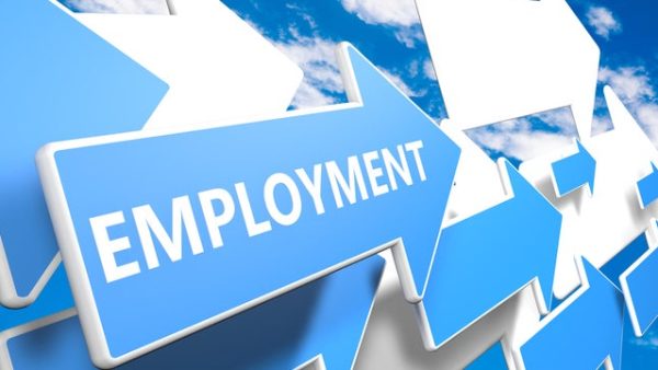 Les normes de l‚Äôemploi