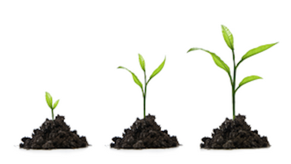 Leading Growth Firms