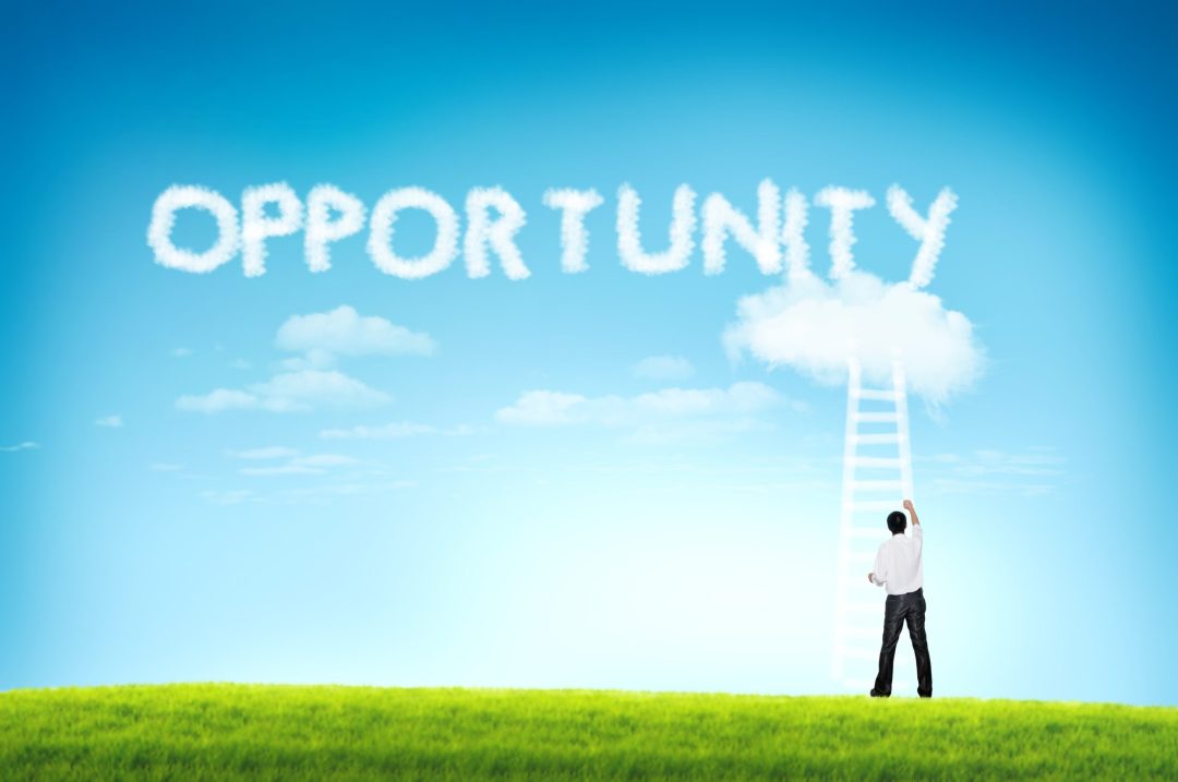 Developing Your Career Path